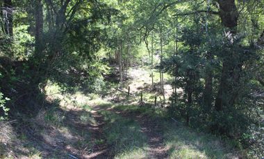 2 HA 2 HA DE TERRENO EN ALTURA CON BOSQUE NATIVO, ESTERO Y PRECIOSA VISTA AL VALLE