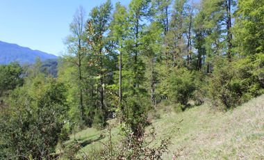 2 HA 2 HA DE TERRENO EN ALTURA CON BOSQUE NATIVO, ESTERO Y PRECIOSA VISTA AL VALLE
