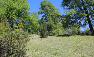 2 HA 2 HA DE TERRENO EN ALTURA CON BOSQUE NATIVO, ESTERO Y PRECIOSA VISTA AL VALLE