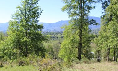 2 HA 2 HA DE TERRENO EN ALTURA CON BOSQUE NATIVO, ESTERO Y PRECIOSA VISTA AL VALLE