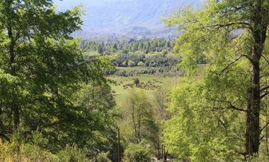 2 HA 2 HA DE TERRENO EN ALTURA CON BOSQUE NATIVO, ESTERO Y PRECIOSA VISTA AL VALLE