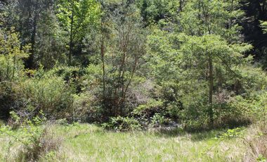 2 HA 2 HA DE TERRENO EN ALTURA CON BOSQUE NATIVO, ESTERO Y PRECIOSA VISTA AL VALLE