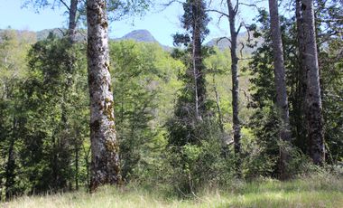 2 HA 2 HA DE TERRENO EN ALTURA CON BOSQUE NATIVO, ESTERO Y PRECIOSA VISTA AL VALLE