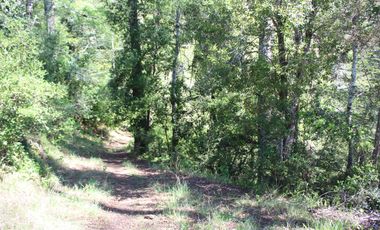 2 HA 2 HA DE TERRENO EN ALTURA CON BOSQUE NATIVO, ESTERO Y PRECIOSA VISTA AL VALLE