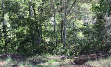 2 HA 2 HA DE TERRENO EN ALTURA CON BOSQUE NATIVO, ESTERO Y PRECIOSA VISTA AL VALLE