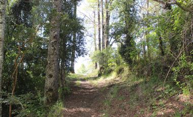 2 HA 2 HA DE TERRENO EN ALTURA CON BOSQUE NATIVO, ESTERO Y PRECIOSA VISTA AL VALLE