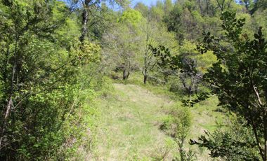 2 HA 2 HA DE TERRENO EN ALTURA CON BOSQUE NATIVO, ESTERO Y PRECIOSA VISTA AL VALLE