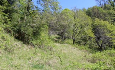 2 HA 2 HA DE TERRENO EN ALTURA CON BOSQUE NATIVO, ESTERO Y PRECIOSA VISTA AL VALLE