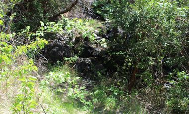 2 HA 2 HA DE TERRENO EN ALTURA CON BOSQUE NATIVO, ESTERO Y PRECIOSA VISTA AL VALLE