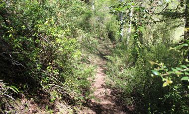 2 HA 2 HA DE TERRENO EN ALTURA CON BOSQUE NATIVO, ESTERO Y PRECIOSA VISTA AL VALLE
