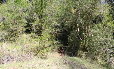 2 HA 2 HA DE TERRENO EN ALTURA CON BOSQUE NATIVO, ESTERO Y PRECIOSA VISTA AL VALLE