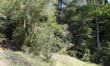 2 HA 2 HA DE TERRENO EN ALTURA CON BOSQUE NATIVO, ESTERO Y PRECIOSA VISTA AL VALLE