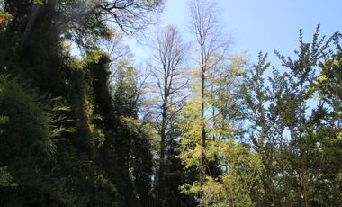 2 HA 2 HA DE TERRENO EN ALTURA CON BOSQUE NATIVO, ESTERO Y PRECIOSA VISTA AL VALLE