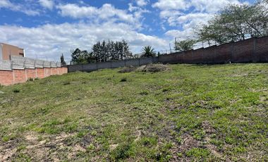 Terreno en Venta en la Prestigiosa Urbanización Algarrobos, Puembo
