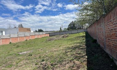 Terreno en Venta en la Prestigiosa Urbanización Algarrobos, Puembo