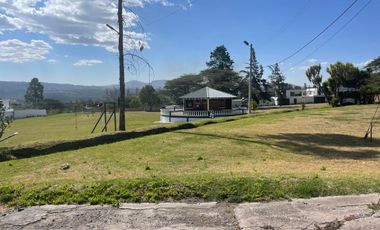 Terreno en Venta en la Prestigiosa Urbanización Algarrobos, Puembo