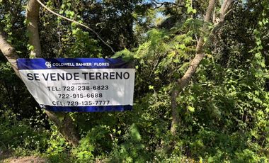 Terreno en Venta en Rancho San Diego, Ixtapan de La Sal, CALLE FLAMBOYA
