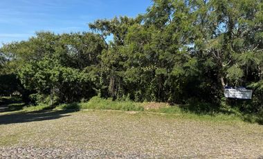 Terreno en Venta en Rancho San Diego, Ixtapan de La Sal, CALLE FLAMBOYA