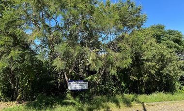 Terreno en Venta en Rancho San Diego, Ixtapan de La Sal, CALLE FLAMBOYA