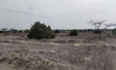 Terreno en la carretera de Piura a Paita, km 11, de 9.34 hectareas