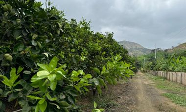 finca de venta via portoviejo santa ana