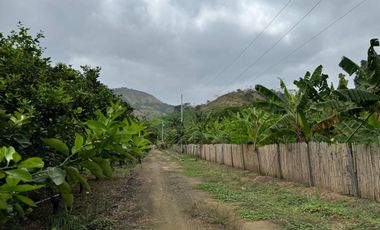 finca de venta via portoviejo santa ana