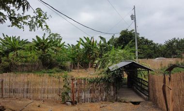 finca de venta via portoviejo santa ana