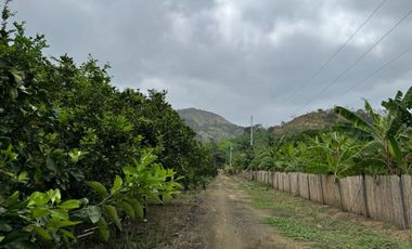 finca de venta via portoviejo santa ana