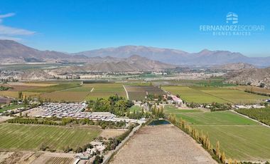 SAN ESTEBAN - VENDE TERRENO DE 4.649m2 - CARIÑO BOTADO