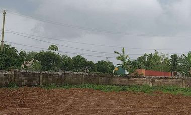 FOR SALE/LEASE - Vacant Lot in Bustos, Bulacan