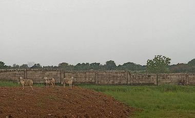 FOR SALE/LEASE - Vacant Lot in Bustos, Bulacan