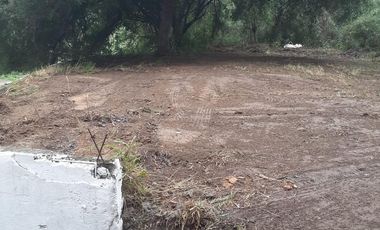 Quinta Excelente Venta Jauregui - Paso Hondo ALLENDE colinda con RIO RAMOS Pozo 2 Cabañas Super Arbolado Inmediato a Pavimento a SOLO 9 kms. Allende