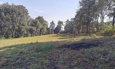 TERRENO EN SAN JUAN DE LAS TABLAS