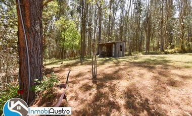 Tarqui, Venta de 01 Hectárea de Terreno con Casa Quinta Vacacional