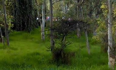 Terreno en venta en Bosques del Lago Cuautitlàn Izcalli Edo. de Mèxico