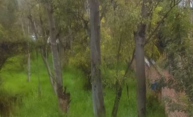 Terreno en venta en Bosques del Lago Cuautitlàn Izcalli Edo. de Mèxico