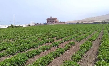 Venta de Terreno Frente Al Megapuerto de Chancay