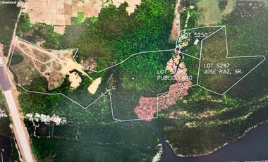 4.1 Has Agricultural Lot For Sale in Brgy. San Policarpio, Calbayog City, Samar