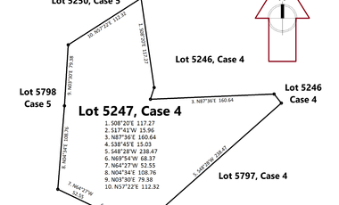 4.1 Has Agricultural Lot For Sale in Brgy. San Policarpio, Calbayog City, Samar