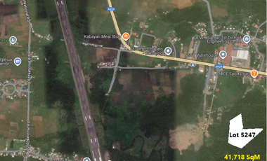 4.1 Has Agricultural Lot For Sale in Brgy. San Policarpio, Calbayog City, Samar