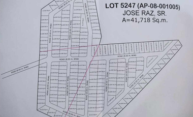 4.1 Has Agricultural Lot For Sale in Brgy. San Policarpio, Calbayog City, Samar