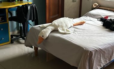 Se Vende Casa Hermosa y Amplia! 🏡 EL BOSQUE,FORTIN,VERACRUZ.