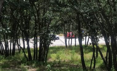 Terrenos boscosos en Bosques de Santa Teresa en Haras del Bosque, Puebla