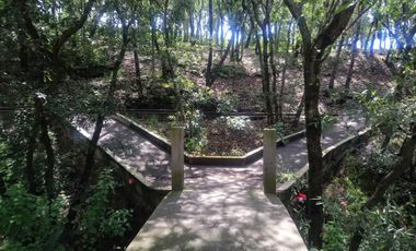 Terrenos boscosos en Bosques de Santa Teresa en Haras del Bosque, Puebla