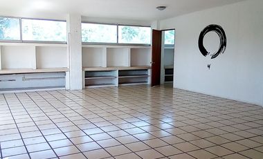 RENTO EDIFICO COMPLETO O POR PISO COMERCIAL SOBRE AVENIDA