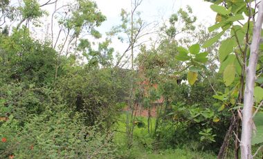 Lote de Terreno en Venta en Bosques de las Lomas con Excelente Ubicación.
