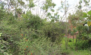 Lote de Terreno en Venta en Bosques de las Lomas con Excelente Ubicación.