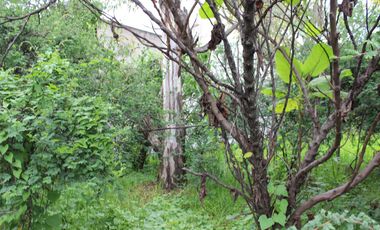 Lote de Terreno en Venta en Bosques de las Lomas con Excelente Ubicación.