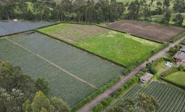 VENTA  DE QUINTA/ 10Ha² / MACHACHI/ALOASI
