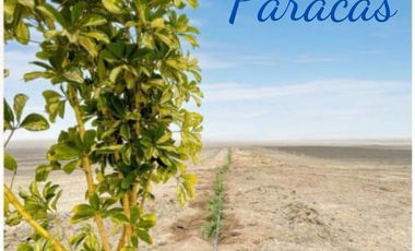 VENTA DE LOTES  PARACAS – DESDE 100M2
